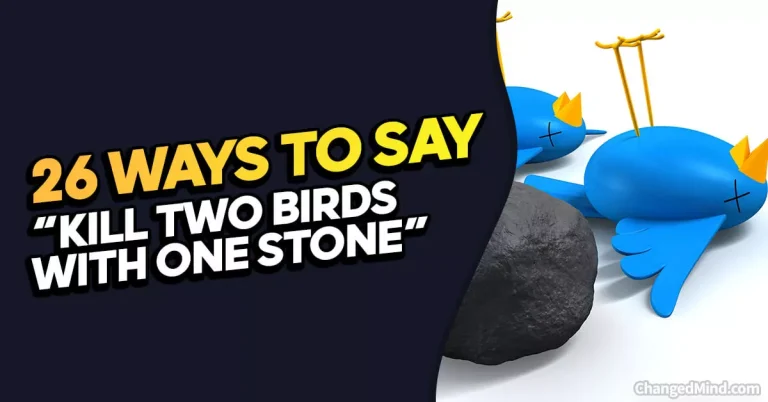 26 Other Ways to Say “Kill Two Birds With One Stone”