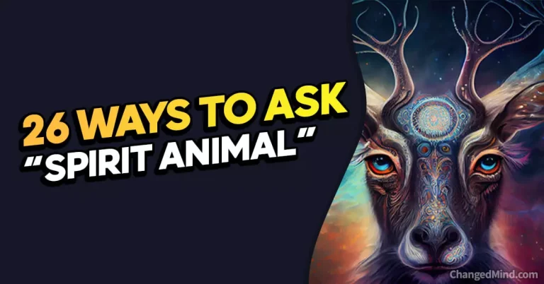 26 Other Ways to Say “Spirit Animal”
