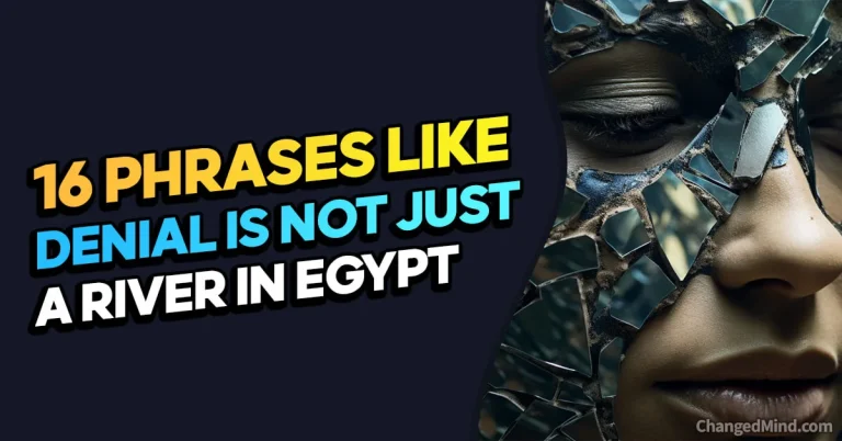 16 Phrases Like “Denial Is Not Just a River in Egypt”